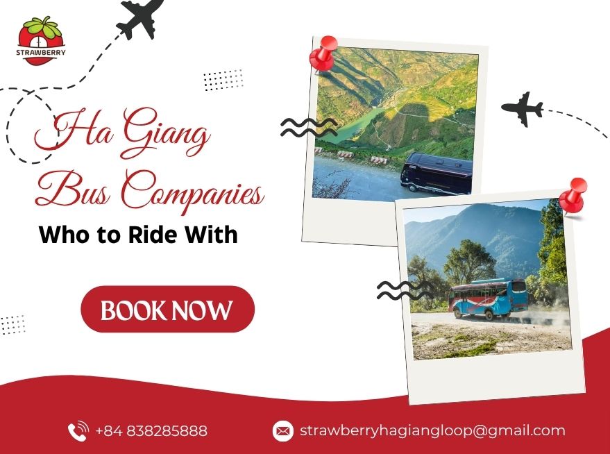 Ha Giang Bus Companies