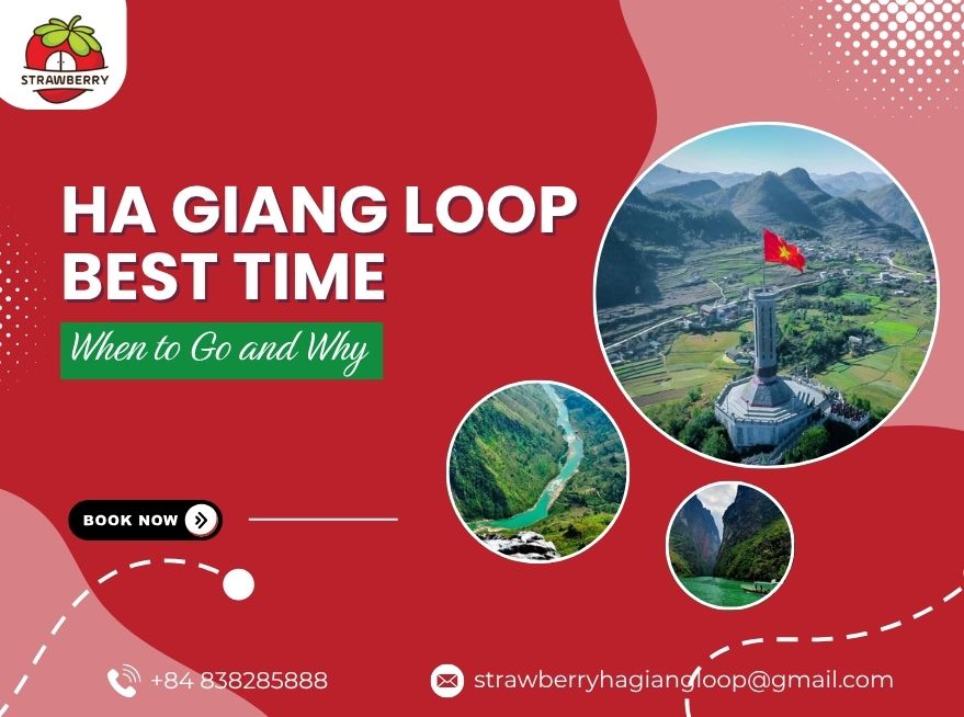 Ha Giang Loop Best Time