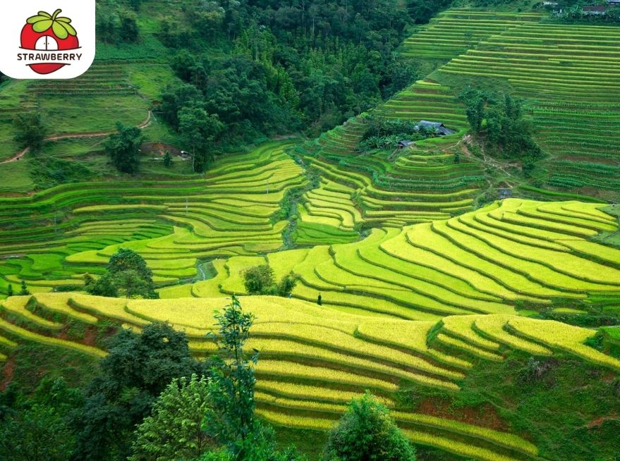 Ha Giang Loop - The Happiness Road