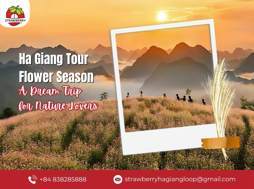 Ha Giang tour flower season